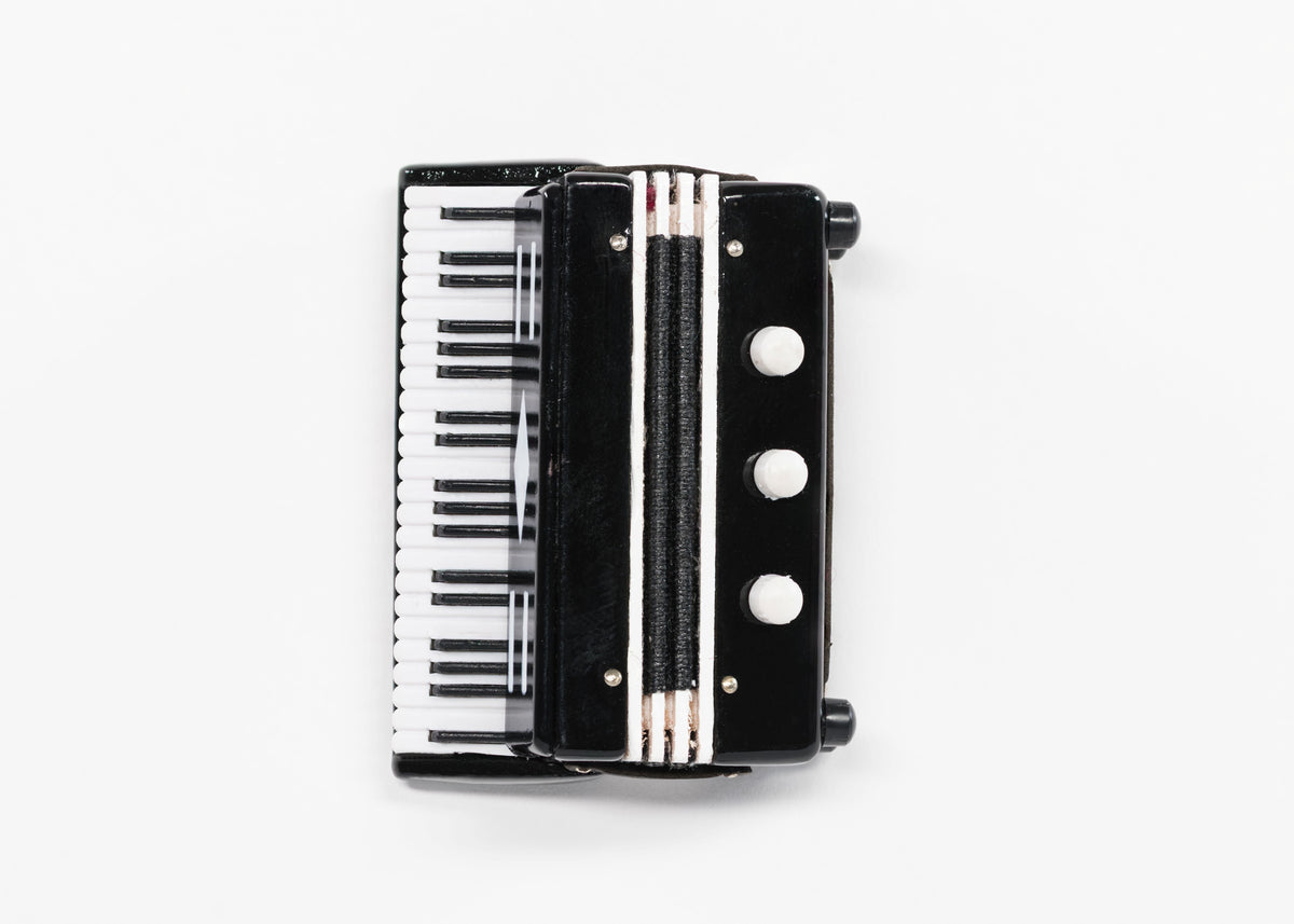 Accordion Magnet