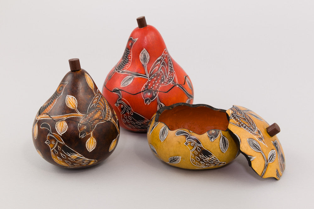Bird Gourd Box