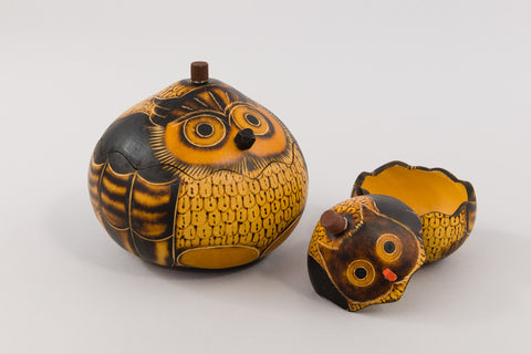 Owl Gourd Boxes