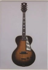 Electric Guitar Magnets