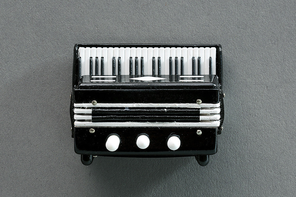 Accordion Magnet