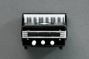 Accordion Magnet