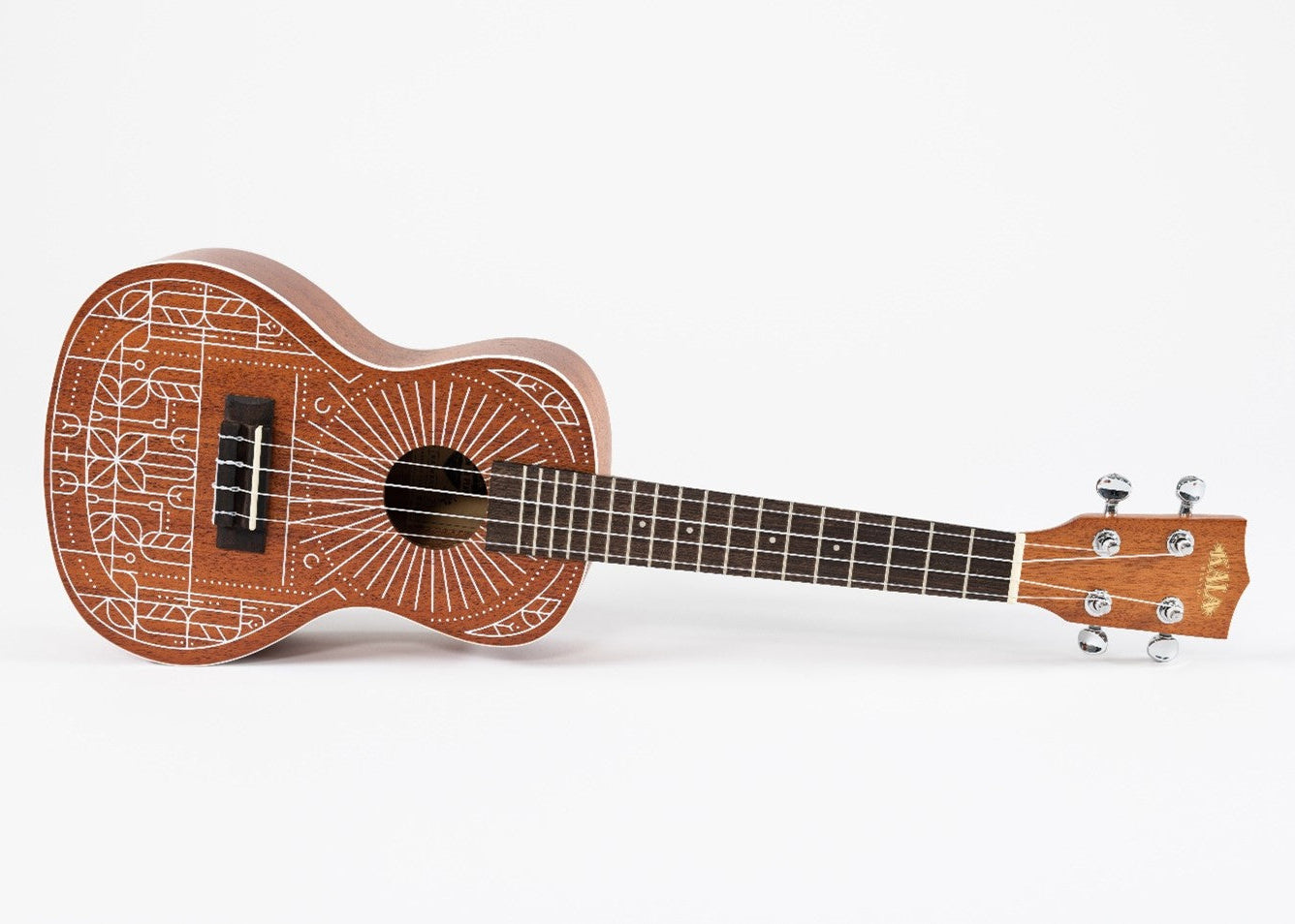 Mandy Harvey Concert Ukulele