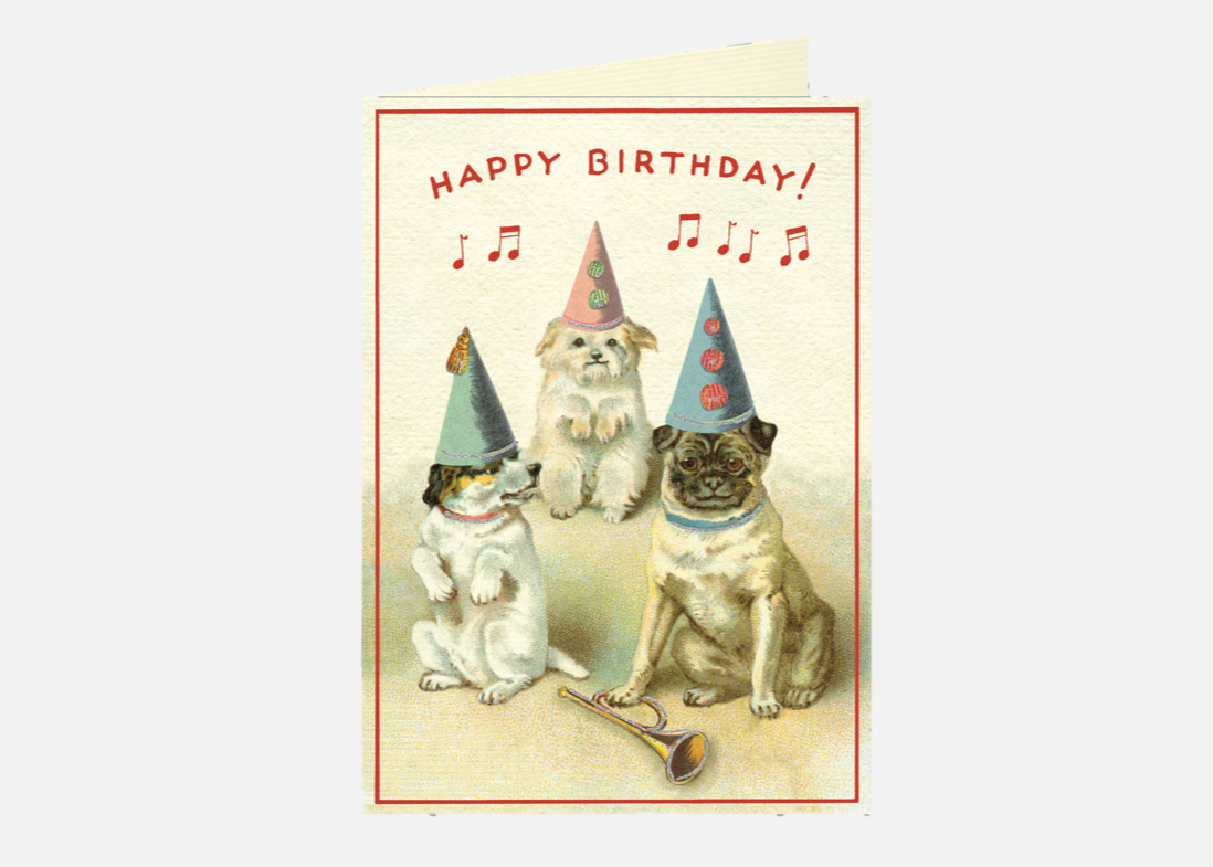 Puppy Party Birthday Card