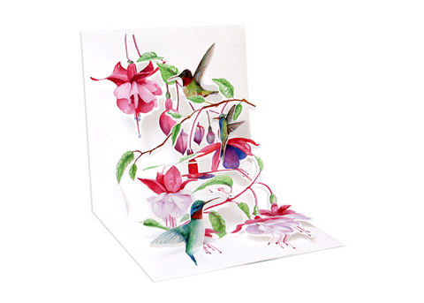 Hummingbirds Card